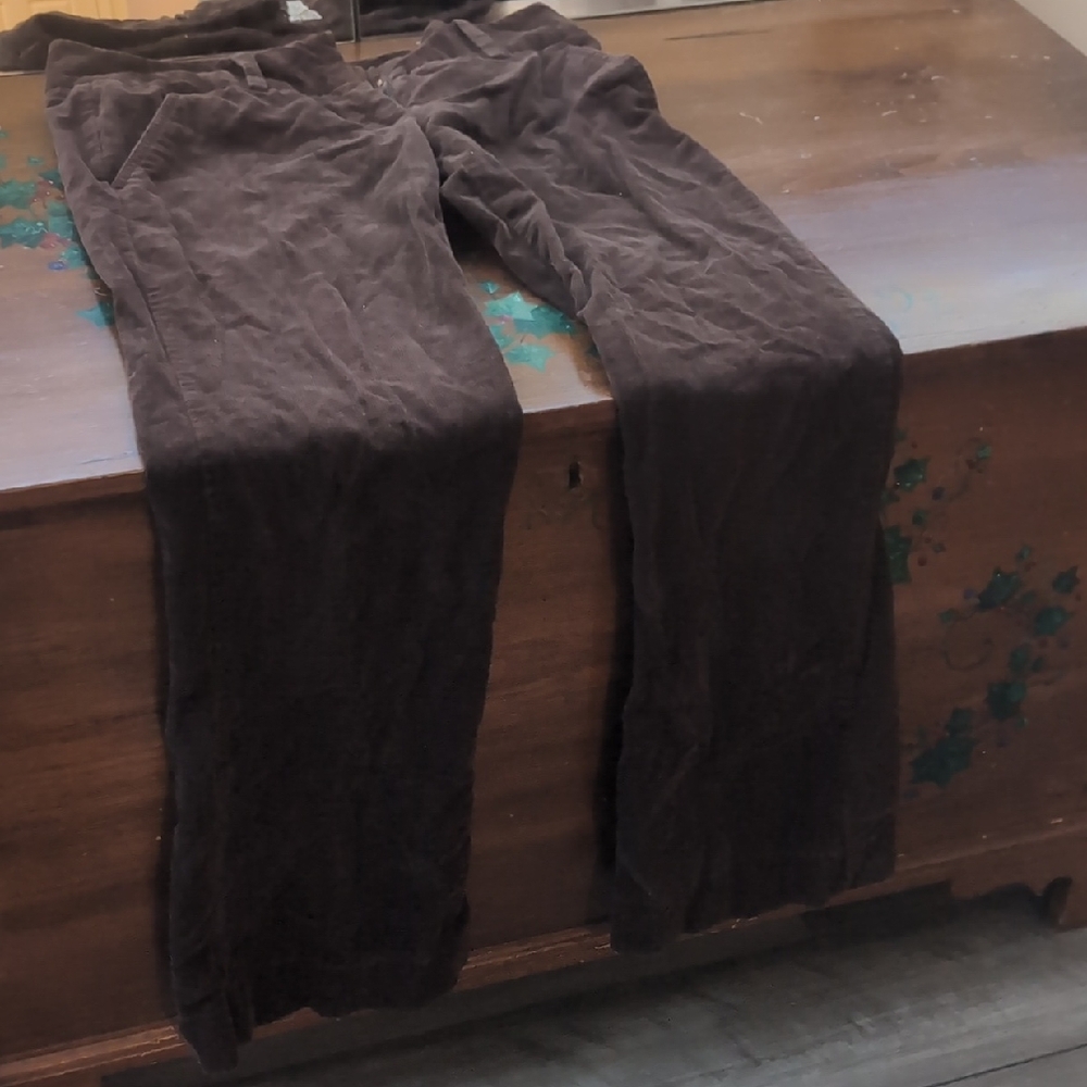 The Limited Rich Brown Corduroy Pants